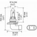 Lampada de Farol 12v HB3 65w P20d T4 Lampada de Farol 12v HB3 65w P20d T4