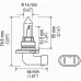 Lampada de Farol 12v HB3 65w P20d T4