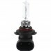 Lâmpada de Farol 12v Hb3 60w 65w P20d Std Lâmpada de Farol 12v Hb3 60w 65w P20d Std